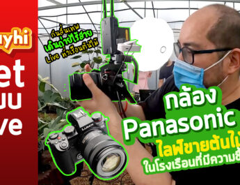 กล้อง Panasonic S5 ไลฟ์ขายต้นไม้ในโรงเรือนพักต้นไม้ที่มีความชื้นสูง