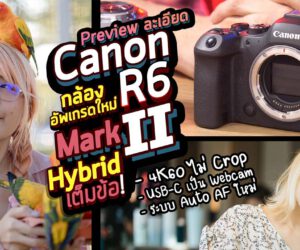 Preview แบบละเอียด สรุปจบ Canon EOS R6 Mark II อัพเกรดใหม่เพียบ มันเป็นยังไง น่าซื้อไหม?