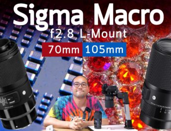 รีวิวเลนส์มาโครสุดคุ้ม Sigma 70mm และ 105mm f2.8 DG Macro Art Lens L-mount