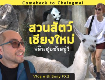 เที่ยวสวนสัตว์เชียงใหม่ปี 2023 หลินฮุ่ยยังอยู่ ขับรถกอล์ฟไปดูแพนด้ากัน Vlog with Sony FX3 4K60