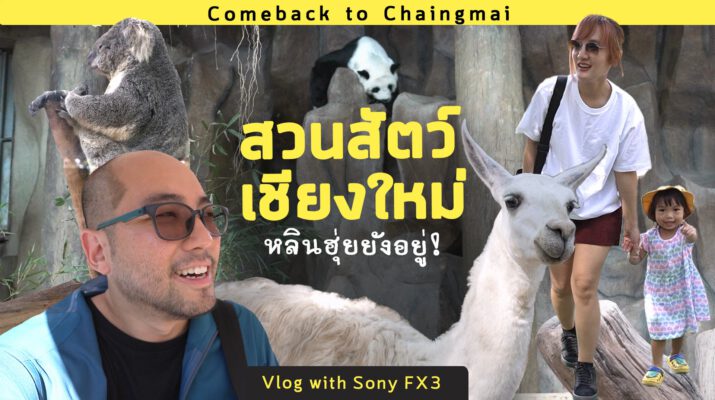 เที่ยวสวนสัตว์เชียงใหม่ปี 2023 หลินฮุ่ยยังอยู่ ขับรถกอล์ฟไปดูแพนด้ากัน Vlog with Sony FX3 4K60