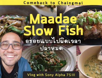 ร้านมาเด สโลว์ฟิช Maadae Slow Fish Kitchen ปลาสดจากทะเลส่งตรงถึงเชียงใหม่ : Vlog with Sony Alpha 7S III