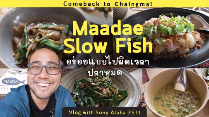 ร้านมาเด สโลว์ฟิช Maadae Slow Fish Kitchen ปลาสดจากทะเลส่งตรงถึงเชียงใหม่ : Vlog with Sony Alpha 7S III
